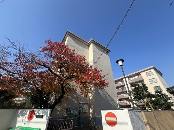 甲子園ビューハイツS棟