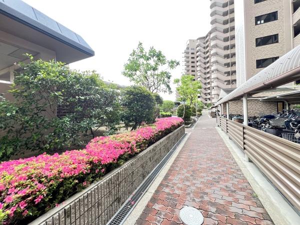 コート甲子園南２番館