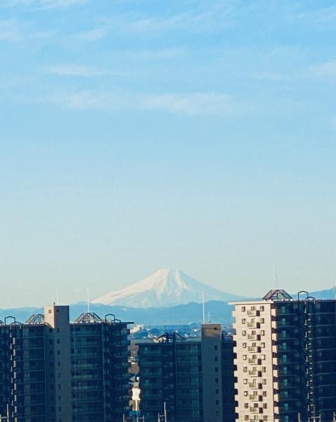 レーベン古河グランディアスタワー