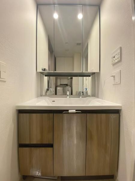 サンクレイドル前橋駅前東公園(洗面台・洗面所)