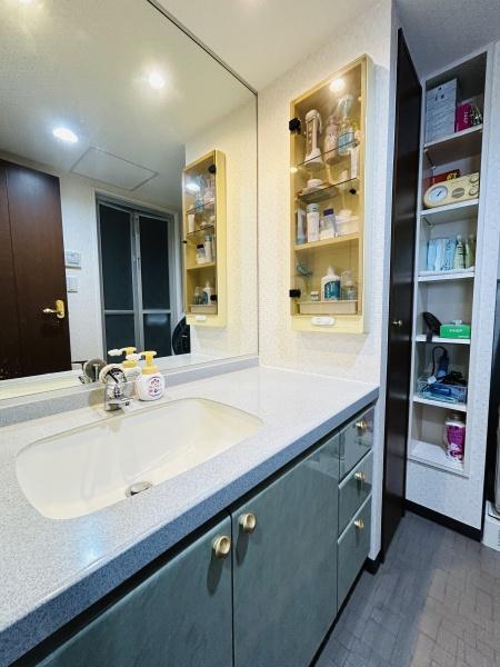 ルイシャトレ川口青木リバーパーク(洗面台・洗面所)