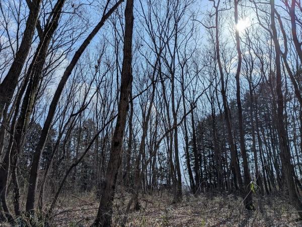 宇都宮市氷室町の売土地