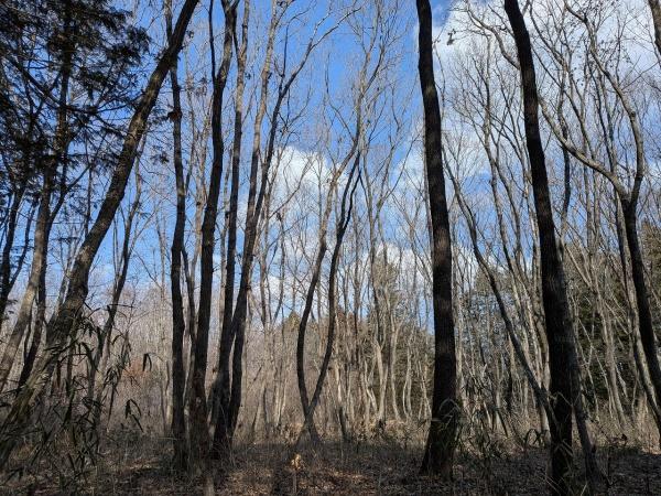 宇都宮市氷室町の売土地