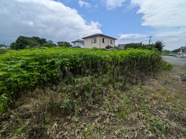 前橋市鼻毛石町土地
