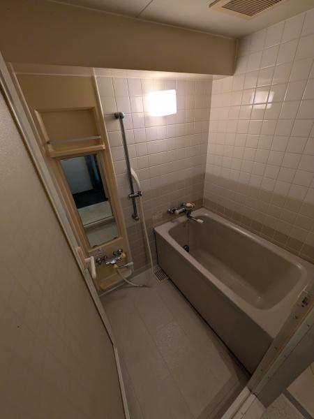 ライオンズマンション高崎