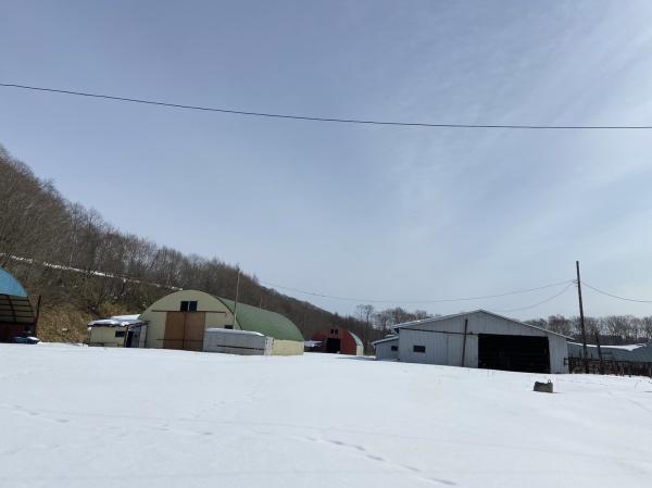 釧路郡釧路町字鳥通原野の売土地