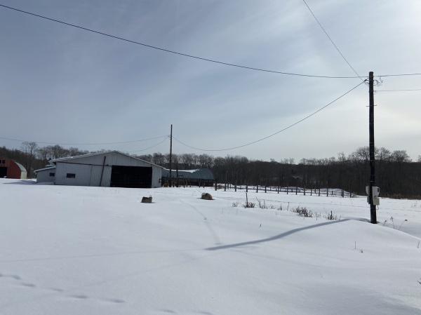 釧路郡釧路町字鳥通原野の土地