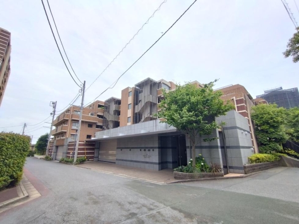 Ｔｈｅ　ＮＯＢＵＴＯ　ＨＩＬＬＳ　ＦＯＲＥＳＴ　ＣＯＵＲＴ