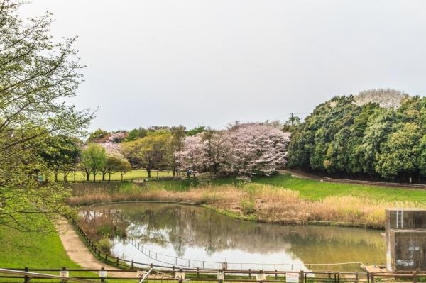 四街道市めいわ２丁目の中古一戸建て(美しが丘近隣公園)