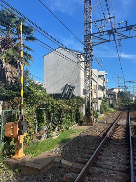 大阪市阿倍野区帝塚山１丁目の中古一戸建て
