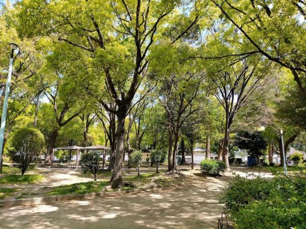 キングスクエ アランドレックスC棟(磯路中央公園)