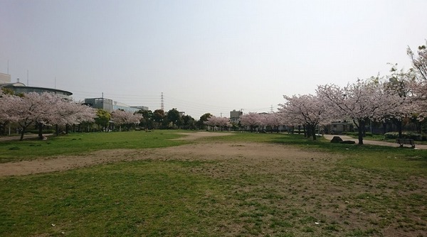 大阪市住吉区苅田10丁目の中古一戸建て(浅香中央公園)