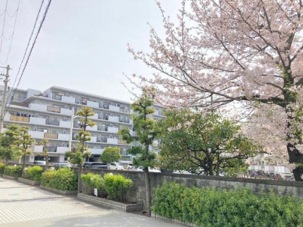ハイツ堺