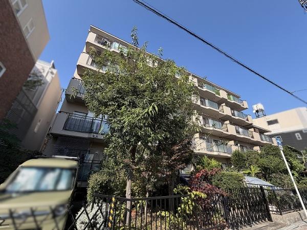 モンテベルデ北畠