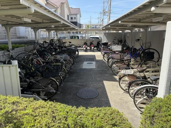 ルイシャトレ金剛
