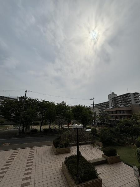 ルネ住之江