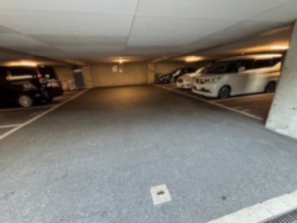ハイロイヤル緑地公園パート2A棟