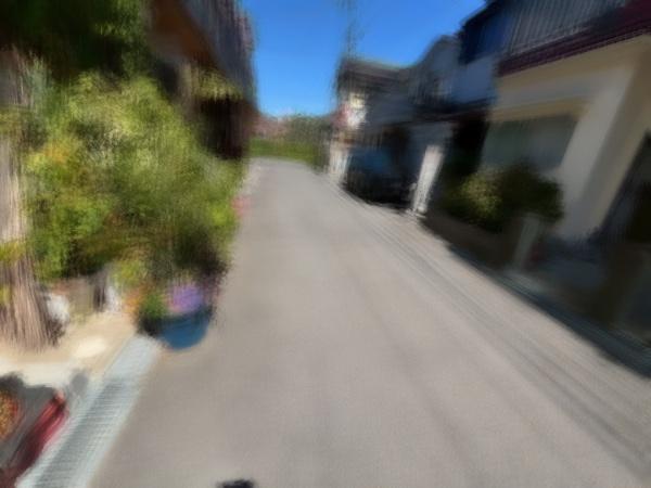 高石加茂