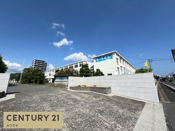 宇部市浜町2(宇部市立鵜ノ島小学校)