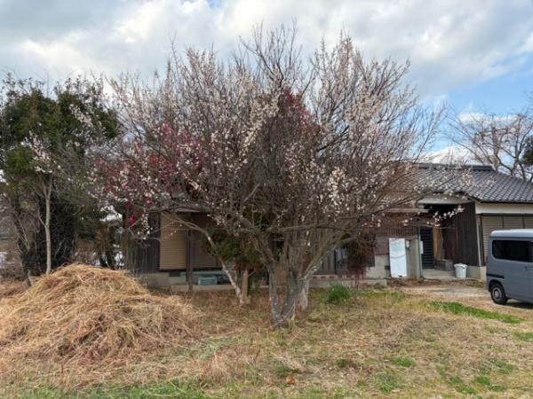 宇部市大字西岐波の中古一戸建て