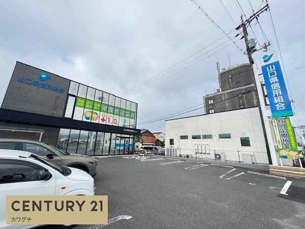 山陽小野田市大字厚狭（店舗付住宅）(山口県信用組合厚狭支店)