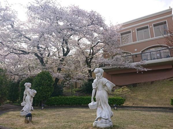 レイディアントシティ向ヶ丘遊園イタリア街区