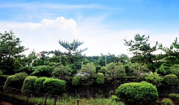 ライオンズステージ鵠沼海岸