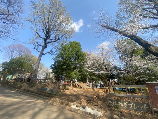 世田谷区代田2丁目の土地(羽根木公園)