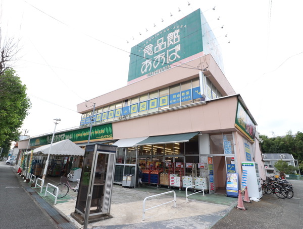 川崎市宮前区菅生1丁目の土地(食品館あおば初山店)