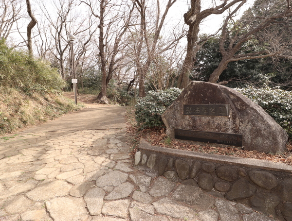 ラ・アトレレジデンス新百合ヶ丘(弘法松公園)
