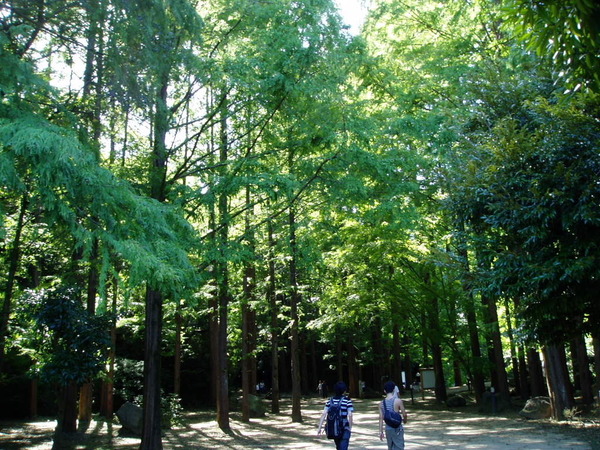 多摩区東生田 新築一戸建て(生田緑地)