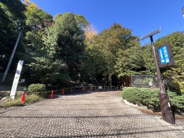 グランドメゾン目黒(林試の森公園)