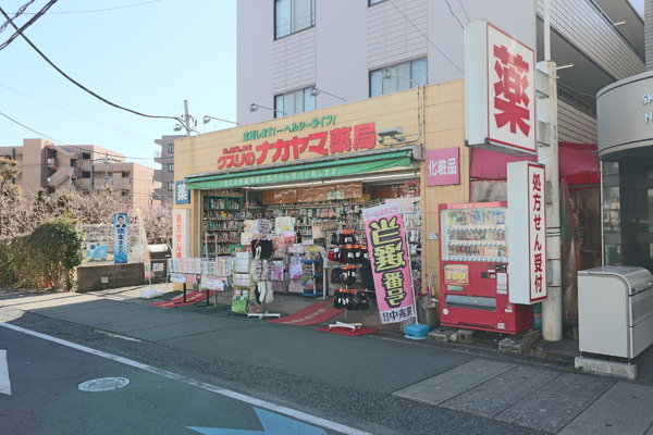 多摩区宿河原　新築一戸建て(クスリのナカヤマ薬局登戸店)