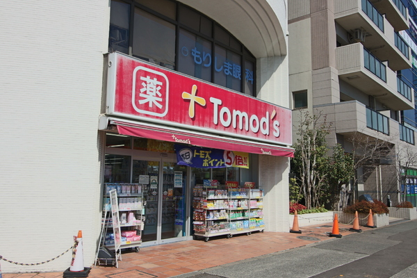 ルピナス鶴川サウスステージ(トモズ鶴川店)
