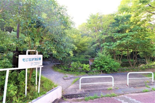 新ゆりグリーンタウンアカシア街区4号棟(むじなが池公園)