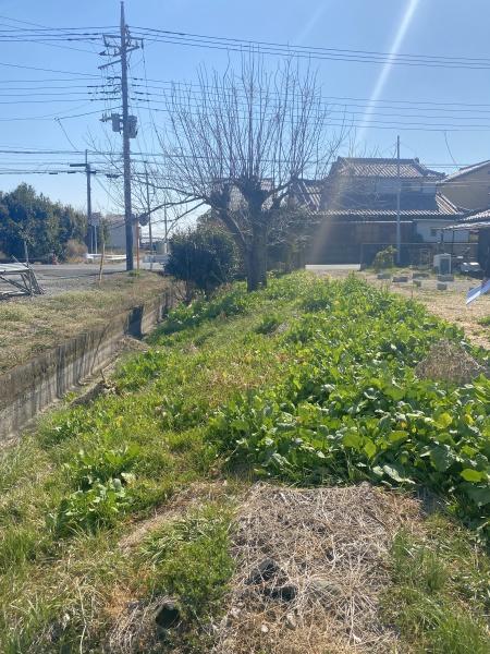 大平町川連　売土地