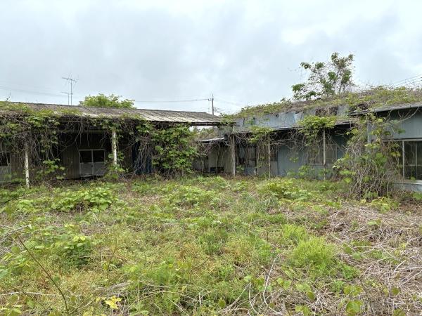 栃木市岩舟町和泉の土地