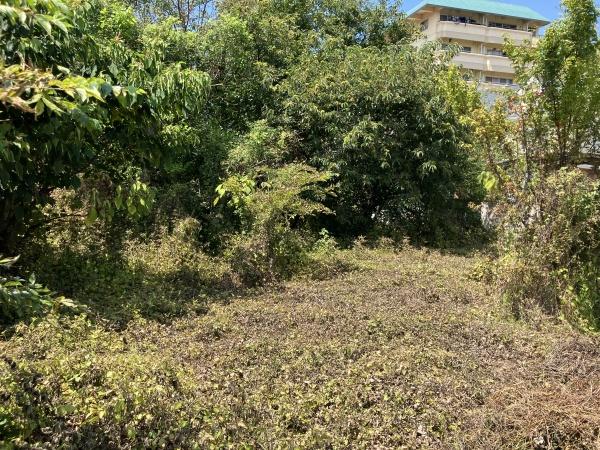 小山市大字立木の土地