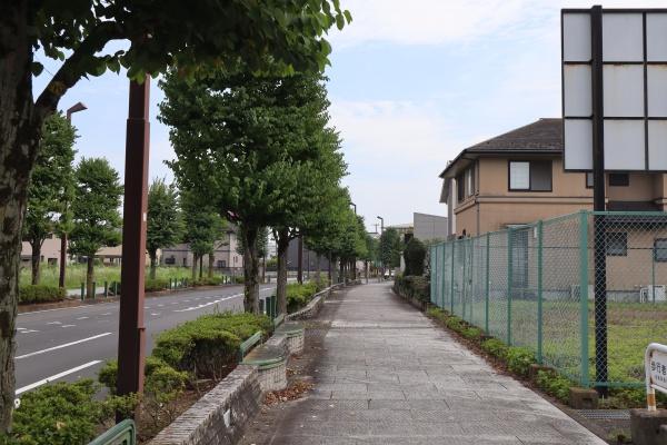 栃木市野中町の土地