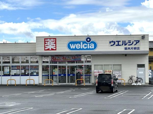 栃木市大平町牛久の中古一戸建て(ウエルシア栃木片柳店)
