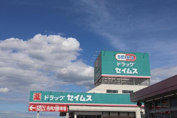 栃木市城内町２丁目の中古一戸建て(ドラッグセイムス城内店)