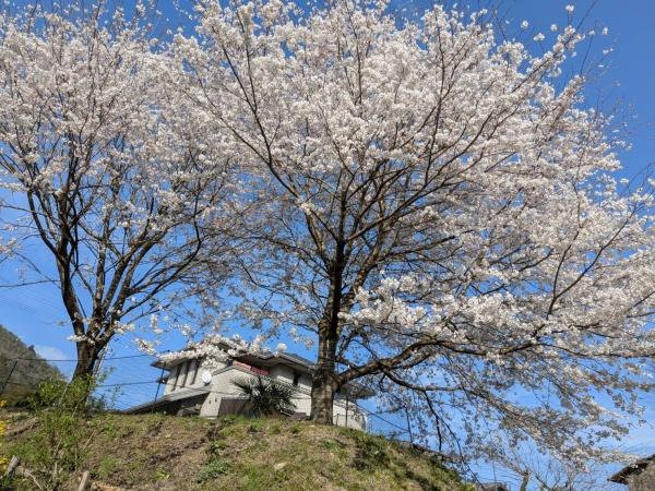 南丹市美山町和泉小垣ノ本の中古一戸建て