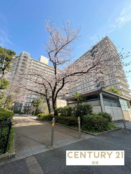 マンハイムグラン石切第二期