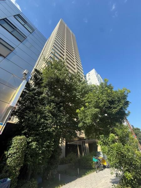 マストタワー安堂寺