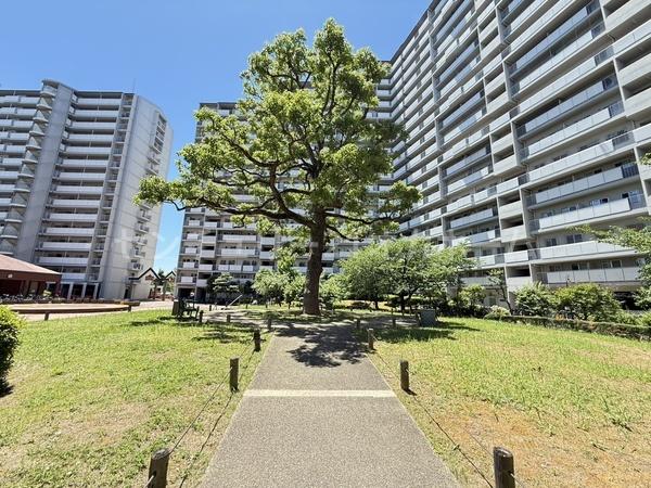 メイプルパークスクエア西2番街