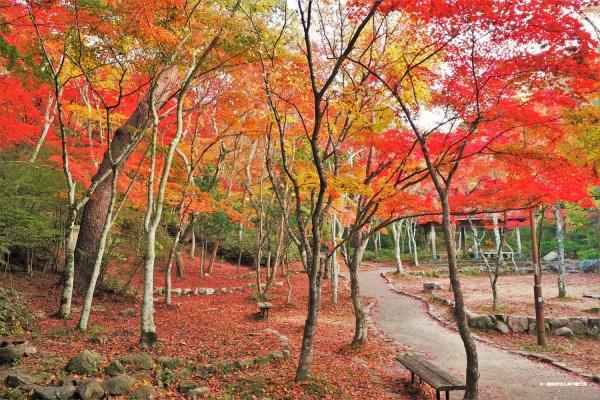 スパレジデンスエクスモンド有馬(瑞宝寺町公園)