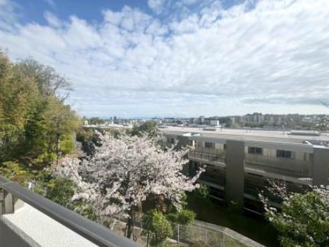 東急ドエルアルス苦楽園桜町Ａ棟