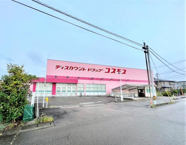 宮崎市大字熊野の土地(ディスカウントドラッグコスモス木花店)