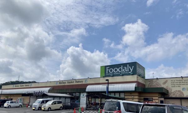 宮崎市佐土原町上田島の中古一戸建て(Foodaly佐土原店)