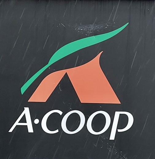 宮崎市祇園４丁目の中古一戸建て(Aコープ神宮店)